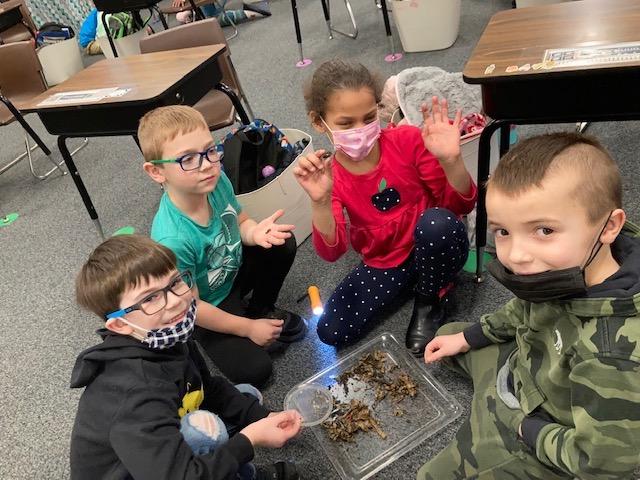Ralph Comito, Blake Lang, Cyonna Corrao, and Maddox Gavrish are having fun looking through the compost to find some worms