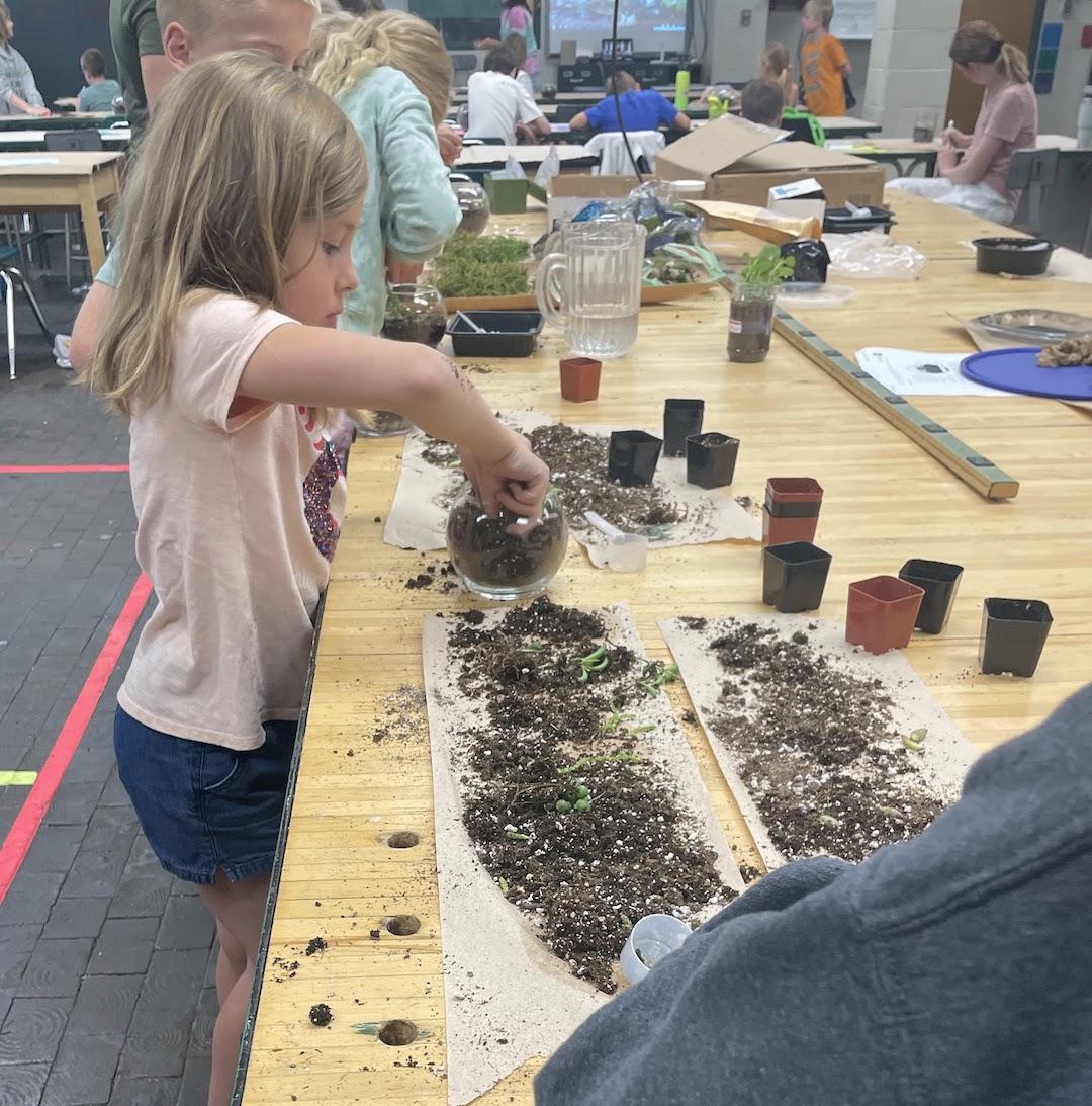 Students make functioning terrariums   