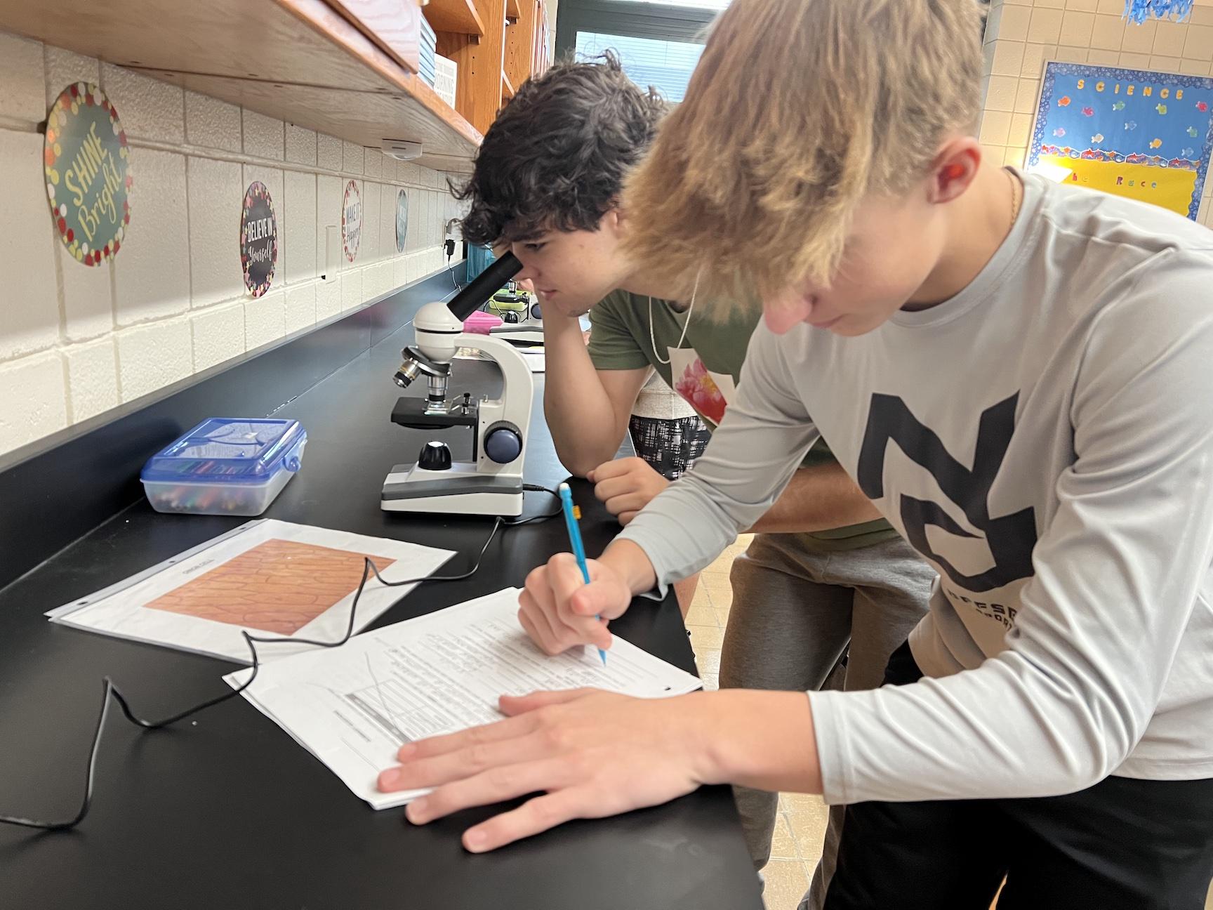 Tre Muhitch and Colton Tyburski observe onion cells and identify key organelles