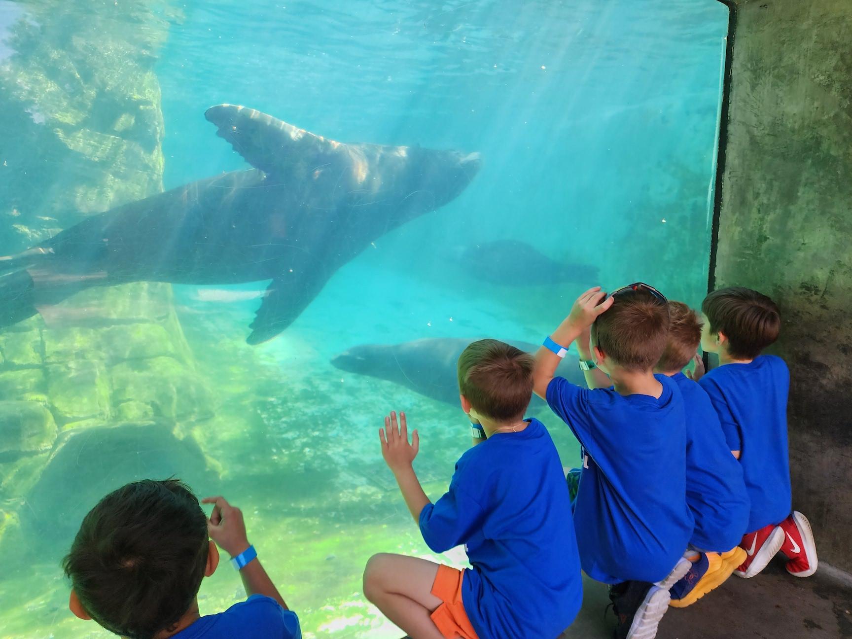 The aquarium was a big hit for these students